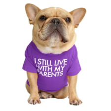  "Még mindig a szüleimmel élek" kutyapóló, sötétlila, XXL-es kutyaruha