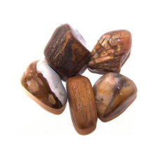 Megkövesedett fa marokkő (2-3 cm) marokkő