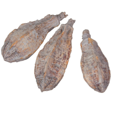  Mehogany szárított szürke 16db-os dekorációs kellék