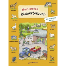 Mein erstes Bildwörterbuch idegen nyelvű könyv