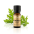 Memória CopyCare Hungary Citronella 100% illóolaj - 10ml