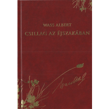 Mentor Csillag az éjszakában antikvárium - használt könyv