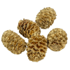 Meridianum arany 14dkg/csom