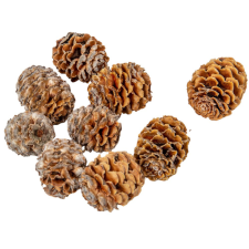  Meridianum natúr 2,7kg/csom dekorációs kellék