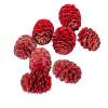  Meridianum piros 16dkg/csom