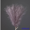  Metál pampafű 20 szálas köteg 45cm - Lila