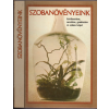 Mezőgazdasági Kiadó Szobanövényeink kiválasztása, nevelése, gondozása és színes képei