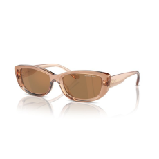 MICHAEL KORS MK2210U 3999/O ASHEVILLE BROWN TRANSPARENT BROWN napszemüveg