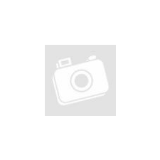 MICHAEL KORS MK6816 női karóra karóra