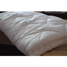 Microfibre antiallergen paplan 140x200 nyári lakástextília