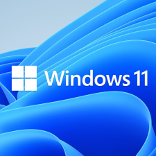 Microsoft Windows 11 Home 64-bit HUN DSP OEI DVD (KW9-00641) operációs rendszer