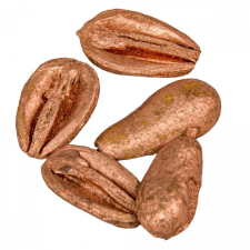  Mike szárított bronz 22dkg/csom dekorációs kellék