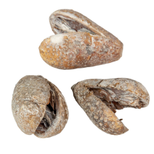  Mike szárított havas fehér 28dkg/csomag dekorációs kellék