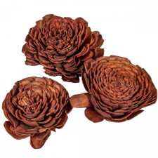  Ming boglárka barna 6cm 25db-os dekorációs kellék