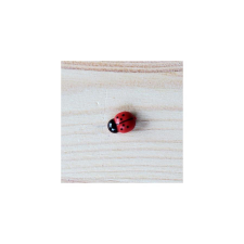 Mini katica, öntapadós. Mérete: 12x8 mm dekorációs kellék