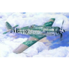  Mistercraft Fw-190D-9 Michaelski 1:72 (C-09)
