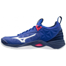 Mizuno Terem WAVE MOMENTUM unisex női cipő