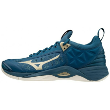 Mizuno Terem WAVE MOMENTUM unisex női cipő