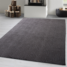  Modern szőnyeg Armoni Plüss (Antracit) 60x110cm Sötét Szürke lakástextília