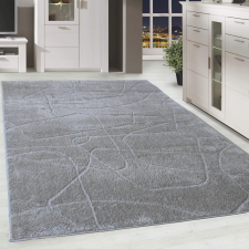 Modern szőnyeg Berber Silk 8522 (Light Grey) 200x290cm Világos Szürke lakástextília