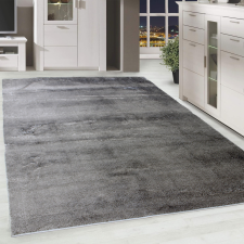 Modern szőnyeg Berber Silk (Dark Grey) 160x230cm Sötét Szürke lakástextília