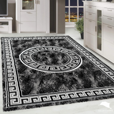 Modern szőnyeg Hermes Rose 222 Antracit 200x290cm lakástextília