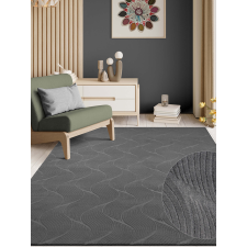  Modern szőnyeg Rio 3D Orla (Antracit) 80x150cm Sötét Szürke lakástextília