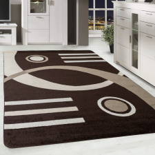  Modern szőnyeg Scarlett 4801 (Brown) 240x330cm Barna lakástextília