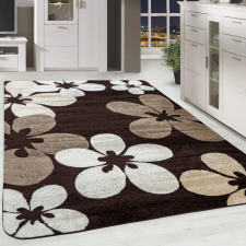 Modern szőnyeg Scarlett 4808 (Brown) 160x230cm Barna lakástextília