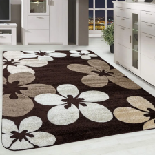  Modern szőnyeg Scarlett 4808 (Brown) 80x150cm Barna lakástextília