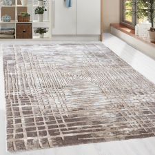  Modern szőnyeg Zara 2852 (Brown-L.Brown) 120x170cm Barna lakástextília