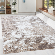 Modern szőnyeg Zara 2853 (Brown-L.Brown) 120x170cm Barna lakástextília