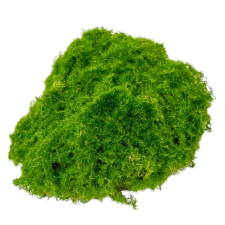  Moha folt 15-20cm dekorációs kellék