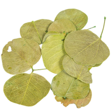  Moneta levél mohazöld 8,5dkg/csom dekorációs kellék