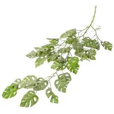  Monstera futó 90cm 24db/# dekorációs kellék