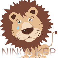 Mora Copitos C80 pléd 80*110 04-rosa -dobozos babaágynemű, babapléd