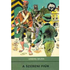 ﻿Móra Ferenc Könyvkiadó A szebeni fiúk (Delfin könyvek) antikvárium - használt könyv