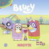 Móra Kiadó Bluey - Nagyik