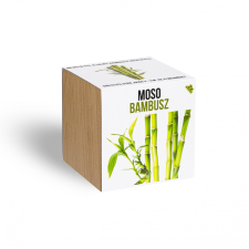 Moso Bambusz növényem fa kaspóban fa és növény