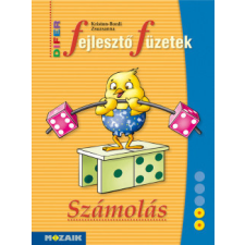 Mozaik Kiadó DIFER Fejlesztő füzetek - Számolás - MS-9330V tankönyv