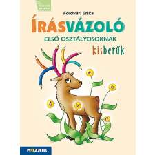 Mozaik Kiadó Írásvázoló 1. osztályosoknak ‒ Kisbetűk (MS-1651V) tankönyv