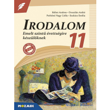 Mozaik Kiadó Irodalom 11. - Emelt szintű érettségire készülőknek tankönyv