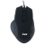 MS Focus C115