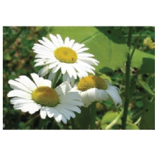  MT103 öntapadós konyhai csempematrica 4db/szett15x15cm tapéta, díszléc és más dekoráció