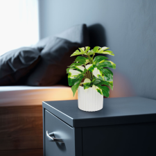  Műnövény dekoráció - filodendron - zöld/sárga - 20 x 8 cm dekoráció