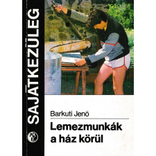 Műszaki Lemezmunkák a ház körül antikvárium - használt könyv
