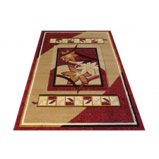 My carpet company kft OUTLET Fenix 03 - piros 120 x 170 cm lakástextília