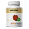 MycoMedica Agaricus, kivonat, 500 mg, 90 gyógynövény kapszula