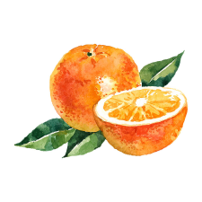 N/A Szerves C 500 - kétféle C-vitamin gyomorkímélő - 100 rágótabletta - narancs - Natur Tanya (HMLY-5999565081072) vitamin és táplálékkiegészítő