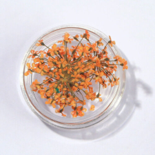 Nagyker 2. Szárított virág kis tégelyes - narancssárga körömdíszítő